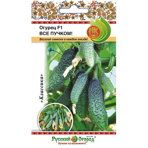 Огурец Все пучком! F1 НК изображение 1 артикул 92345