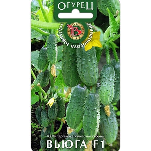 Огурец Вьюга F1 Биотехника изображение 1 артикул 91516