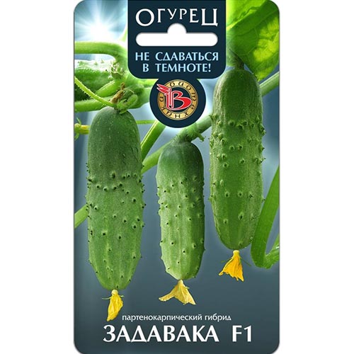 Огурец Задавака F1 Биотехника артикул фото 1 Огурец Задавака F1 Биотехника изображение 1 артикул 91521
