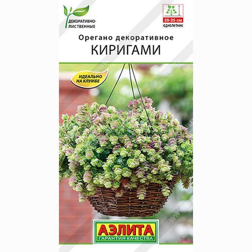 Орегано декоративное Киригами Аэлита изображение 1 артикул 99017