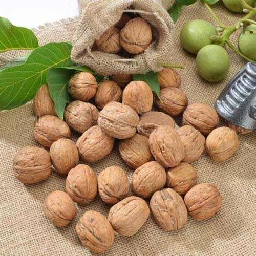 Орех грецкий Десертный изображение 1 артикул 4177