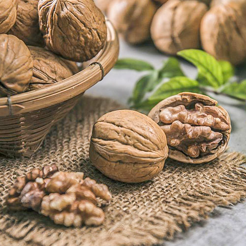 Орех грецкий Карлик изображение 1 артикул 7012