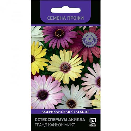 Остеоспермум Акилла Гранд Каньон, смесь окрасок Поиск изображение 1 артикул 93077