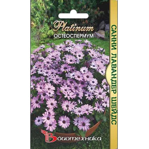 Остеоспермум Санни Лавандер Шейдс Биотехника изображение 1 артикул 74837