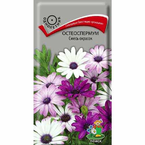 Остеоспермум, смесь окрасок Поиск артикул фото 1 Остеоспермум, смесь окрасок Поиск изображение 1 артикул 93078