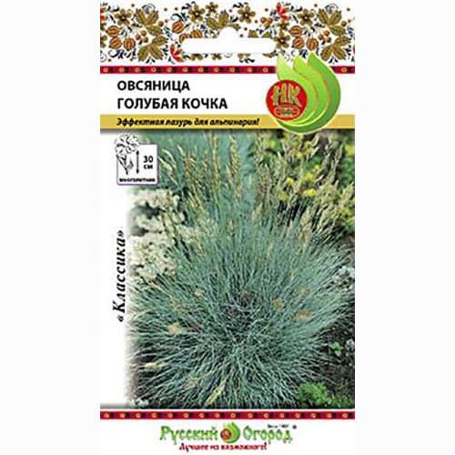 Овсяница Голубая кочка Русский огород НК артикул фото 1 Овсяница Голубая кочка Русский огород НК изображение 1 артикул 92594
