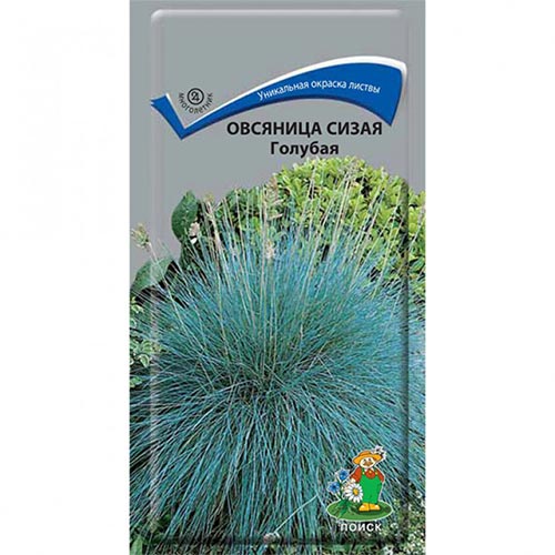 Овсяница сизая Голубая Поиск изображение 1 артикул 93076