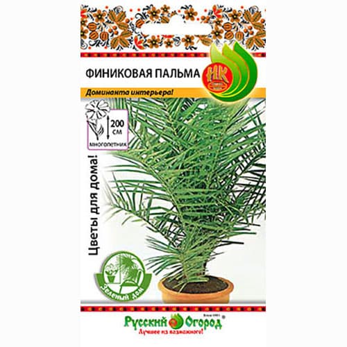 Пальма Финиковая Русский огород НК изображение 1 артикул 92597