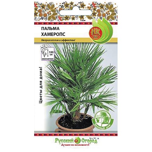 Пальма Хамеропс НК изображение 1 артикул 92598
