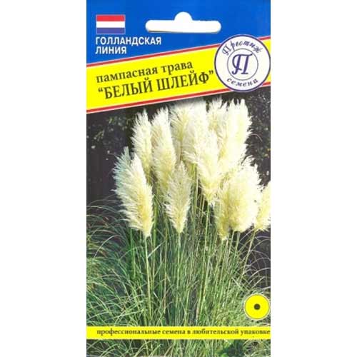 Пампасная трава Белый шлейф Престиж (65853): купить семена почтой в ...