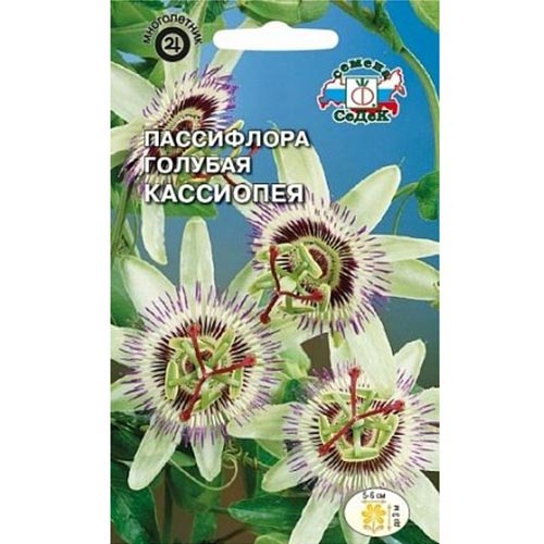 Пассифлора Кассиопея Седек изображение 1 артикул 93929