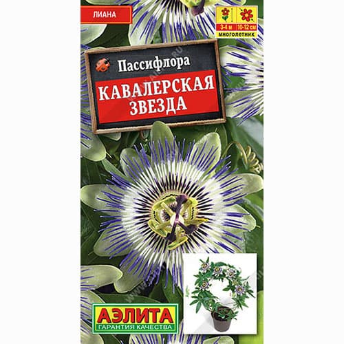 Пассифлора Кавалерская звезда Аэлита артикул фото 1 Пассифлора Кавалерская звезда Аэлита изображение 1 артикул 99019