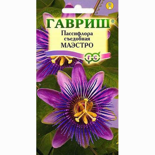 Пассифлора съедобная Маэстро Гавриш изображение 1 артикул 65955