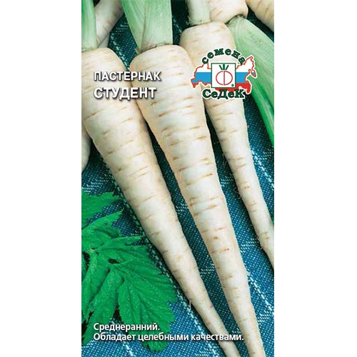 Пастернак Студент Седек изображение 1 артикул 93473