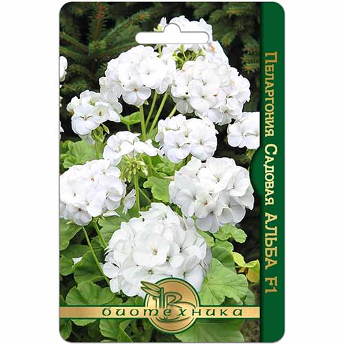 Пеларгония Альба F1 Биотехника изображение 1 артикул 84639