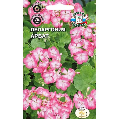 Пеларгония Арбат, смесь окрасок Седек изображение 1 артикул 93930