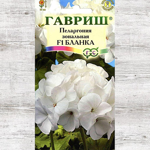Пеларгония Бланка F1 Гавриш изображение 1 артикул 82415
