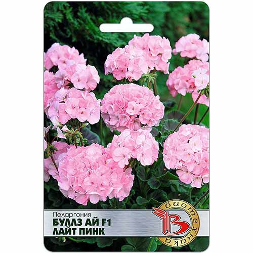 Пеларгония Буллз Ай Лайт Пинк F1 Биотехника изображение 1 артикул 74096