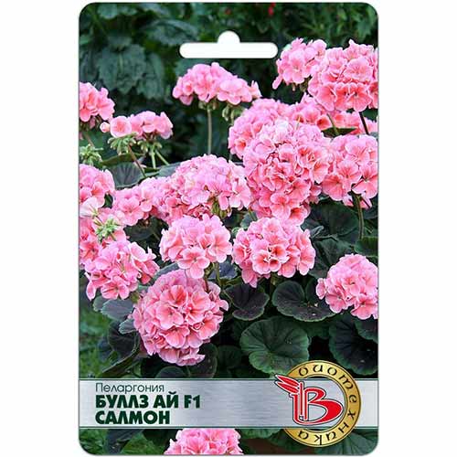 Пеларгония Буллз Ай Салмон F1 Биотехника изображение 1 артикул 74098