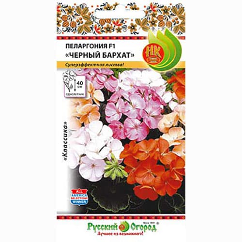 Пеларгония Черный бархат F1, смесь окрасок Русский огород НК изображение 1 артикул 69965
