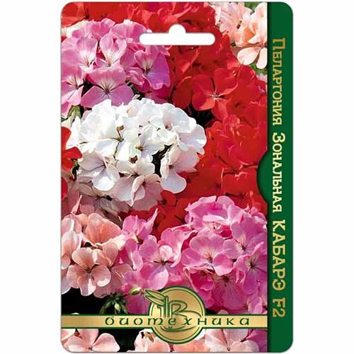 Пеларгония Кабарэ F2 Биотехника артикул фото 1 Пеларгония Кабарэ F2 Биотехника изображение 1 артикул 84628