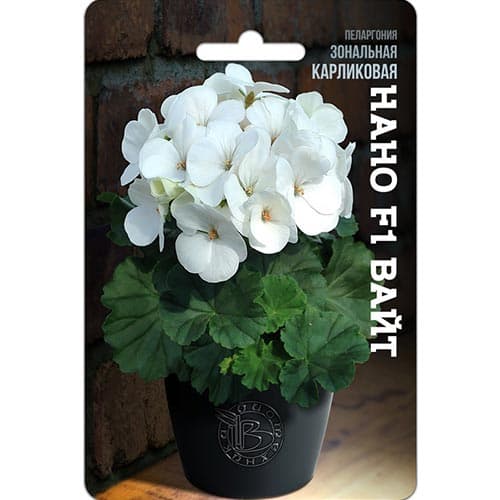 Пеларгония зональная карликовая Нано Вайт F1 Биотехника изображение 1 артикул 91596