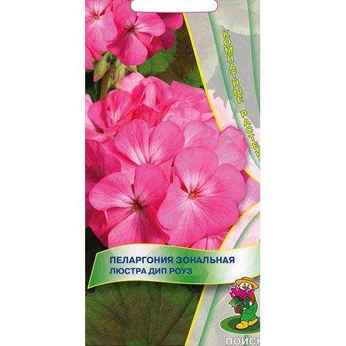 Пеларгония Люстра Дип Роуз Поиск изображение 1 артикул 93082