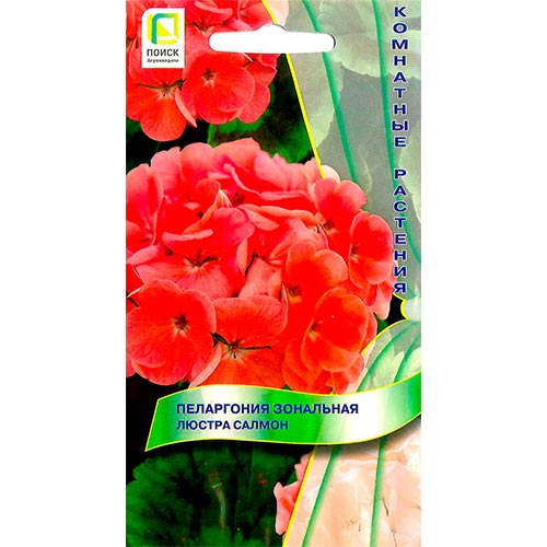 Пеларгония Люстра Салмон Поиск изображение 1 артикул 93083