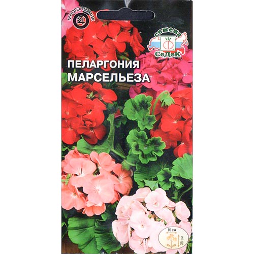 Пеларгония Марсельеза, смесь окрасок Седек изображение 1 артикул 93931