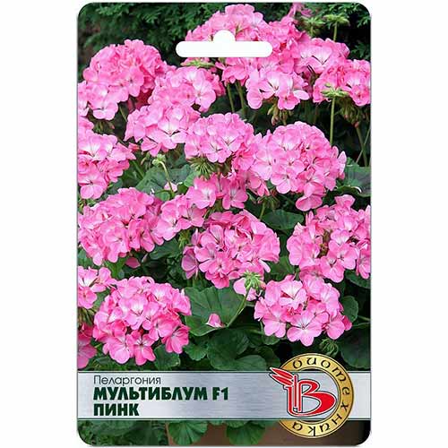 Пеларгония Мультиблум Пинк F1 Биотехника изображение 1 артикул 84636