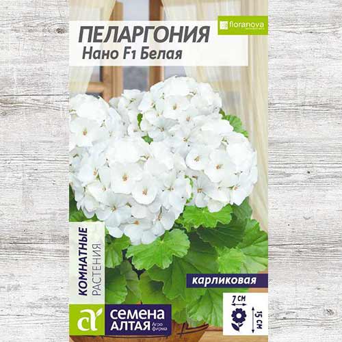 Пеларгония Нано белая F1 изображение 1 артикул 81703