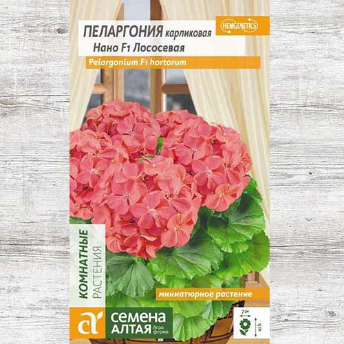 Пеларгония Нано лососевая F1 изображение 1 артикул 81704