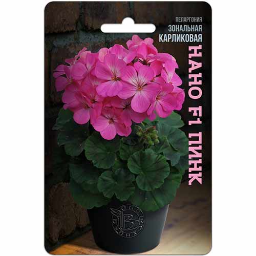 Пеларгония зональная карликовая Нано Пинк F1 Биотехника изображение 1 артикул 84629
