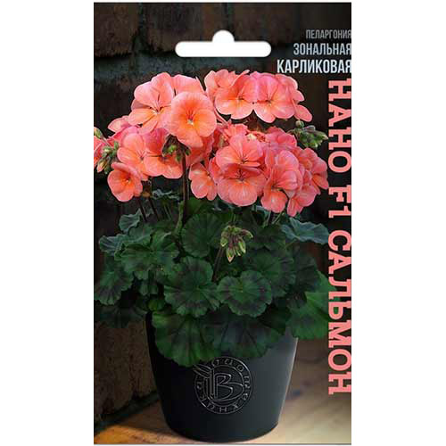 Пеларгония зональная карликовая Нано Сальмон F1 Биотехника изображение 1 артикул 82695