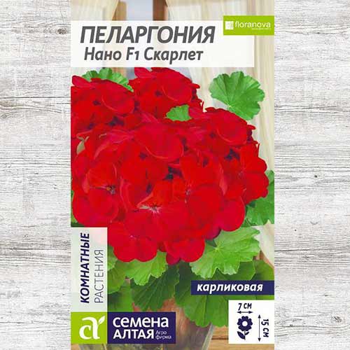 Пеларгония Нано Скарлет F1 изображение 1 артикул 81706