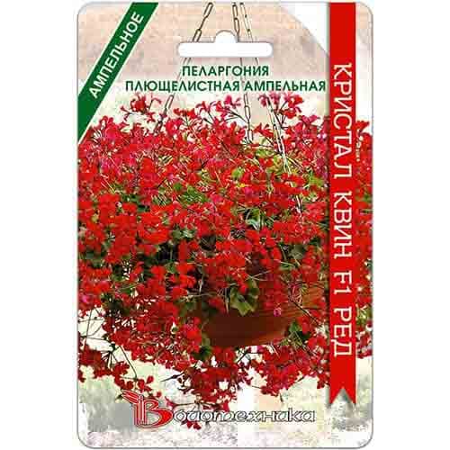 Пеларгония плющелистная ампельная Кристал Квин Ред F1 Биотехника изображение 1 артикул 97345
