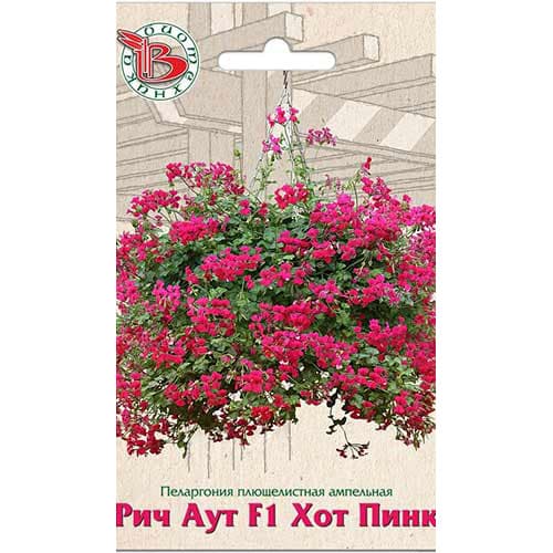 Пеларгония плющелистная ампельная Рич Аут Хот Пинк F1 Биотехника изображение 1 артикул 82704