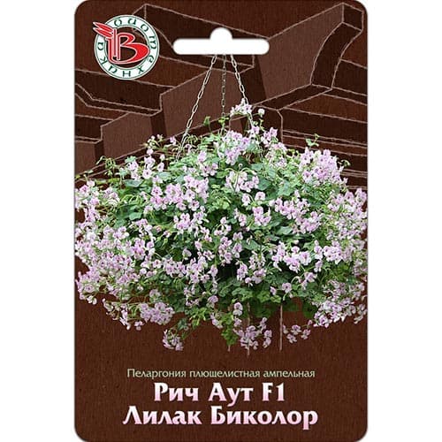 Пеларгония Рич Аут Лилак Биколор F1 Биотехника изображение 1 артикул 91598