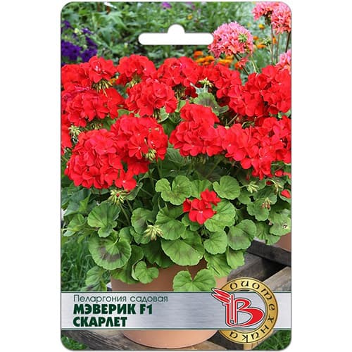 Пеларгония садовая Мэверик Скарлет F1 Биотехника изображение 1 артикул 97347