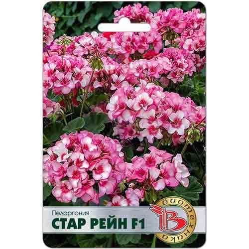 Пеларгония Стар Рейн F1 Биотехника изображение 1 артикул 91599