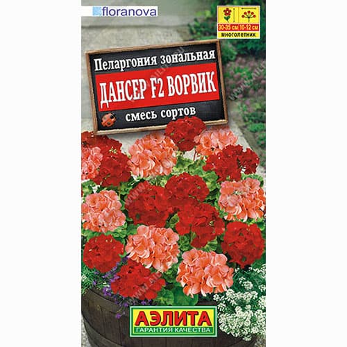 Пеларгония зональная Дансер Ворвик F2, смесь окрасок Аэлита изображение 1 артикул 99021