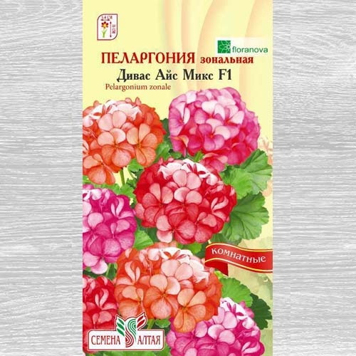 Пеларгония зональная Дивас Айс Микс F1, смесь окрасок изображение 1 артикул 78228