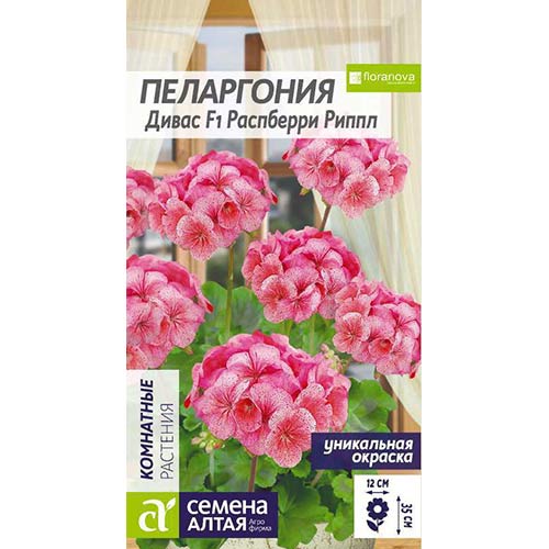 Пеларгония Дивас Распберри Риппл F1 Семена Алтая изображение 1 артикул 78231