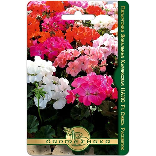 Пеларгония зональная карликовая Нано F1, смесь окрасок Биотехника изображение 1 артикул 97342
