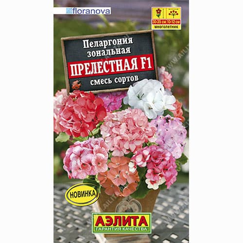 Пеларгония зональная Прелестная F1, смесь окрасок Аэлита изображение 1 артикул 99025