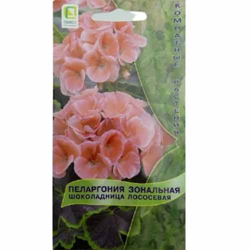 Пеларгония зональная Шоколадница Лососевая Поиск изображение 1 артикул 97887