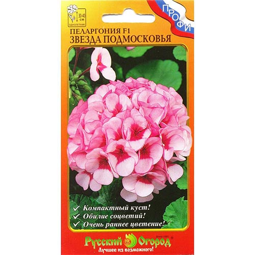 Пеларгония Звезда Подмосковья НК изображение 1 артикул 92600