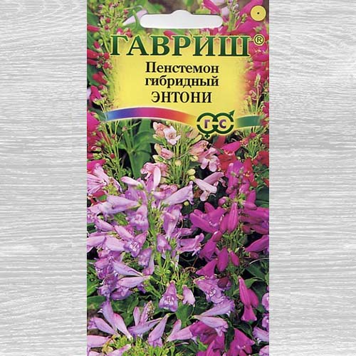 Пенстемон гибридный Энтони, смесь красок артикул фото 1 Пенстемон гибридный Энтони, смесь красок изображение 1 артикул 73881