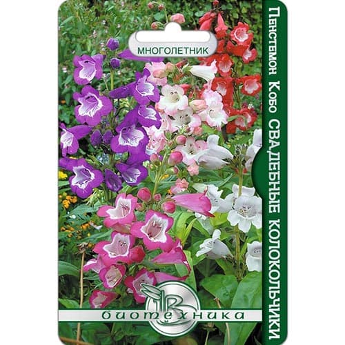Пенстемон Кобо Свадебные колокольчики, смесь окрасок Биотехника изображение 1 артикул 91600