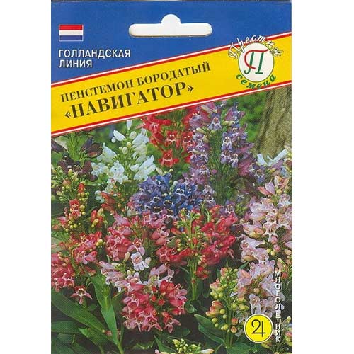 Пенстемон Навигатор, смесь окрасок Престиж изображение 1 артикул 84511
